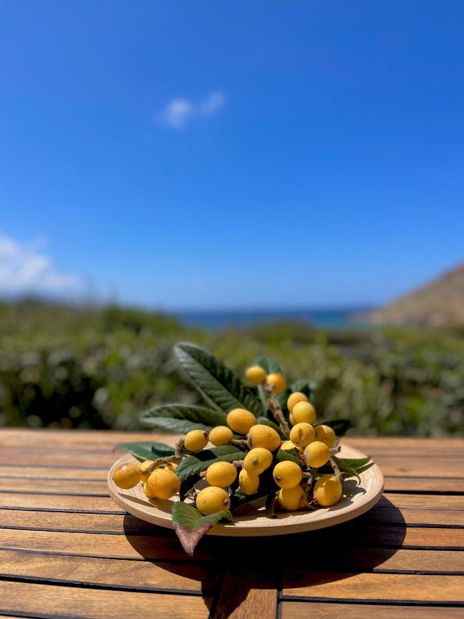 Seaside Studios Arkasa Karpathos Exteriér fotografie