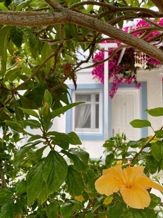 Seaside Studios Arkasa Karpathos Exteriér fotografie