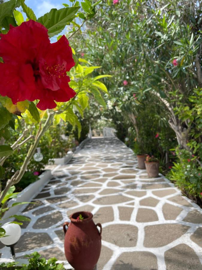 Seaside Studios Arkasa Karpathos Exteriér fotografie